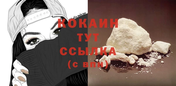 PSILOCYBIN Бородино