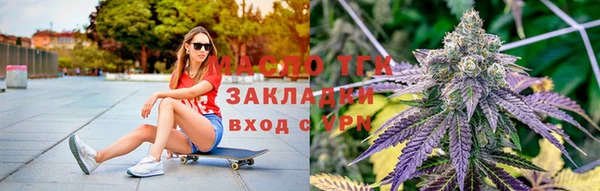 сатива Ступино